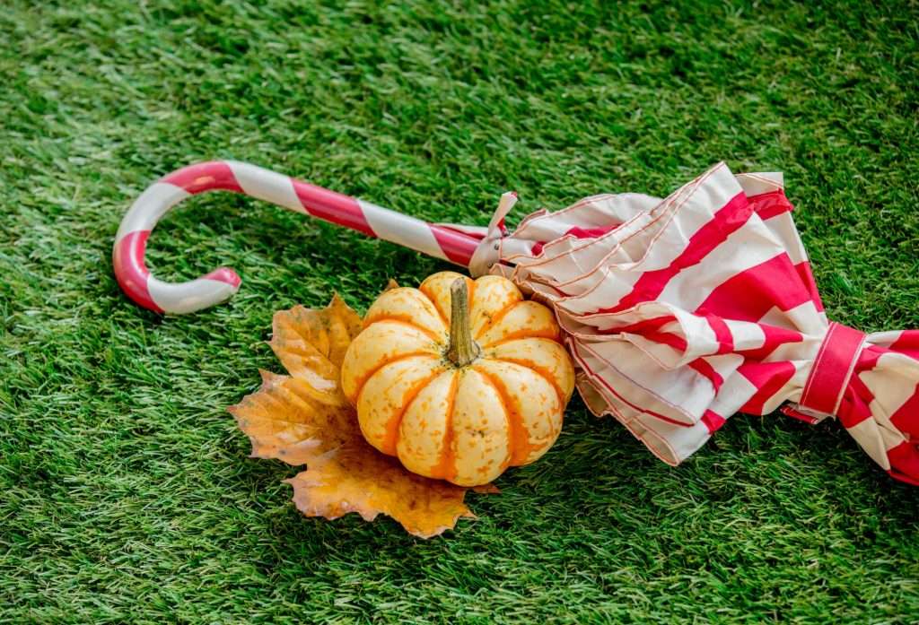 State Farm Umbrella Insurance pumpkin and leaf with umbrella on green lawn 1024x697 - State Farm Umbrella Insurance